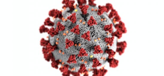 30 сентября 2021 г. истекает продлённый в связи с пандемией COVID-19 срок временного ввоза транспорт