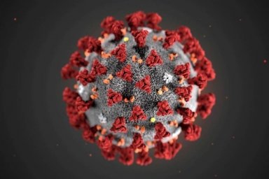 Ситуация по преодолению последствий COVID-19 требует комплексной господдержки