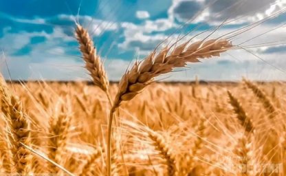 Содействие устойчивому и ускоренному развитию отечественного АПК