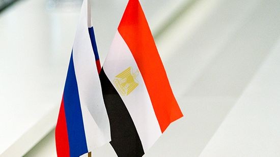 Развивается ​межпарламентское сотрудничество России и Египта