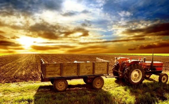 План развития рынка альтернативных продуктов питания в России