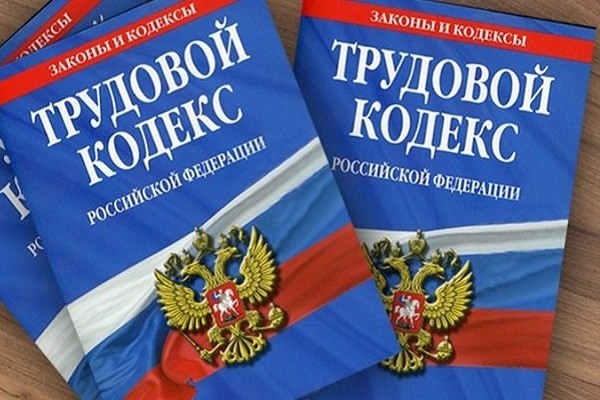 В Комитете СФ поддержали изменения в Трудовой и Налоговый кодексы РФ